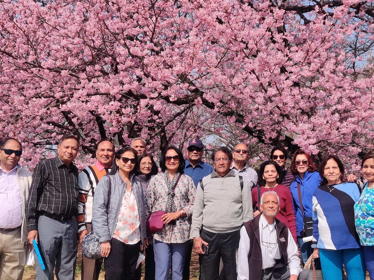 Group Picture of Japan South Korea March 2025 Tour